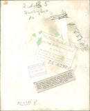 Able Seaman Rupert with his C.O Lt.-Cdr D.J. Cole. - Vintage Photograph