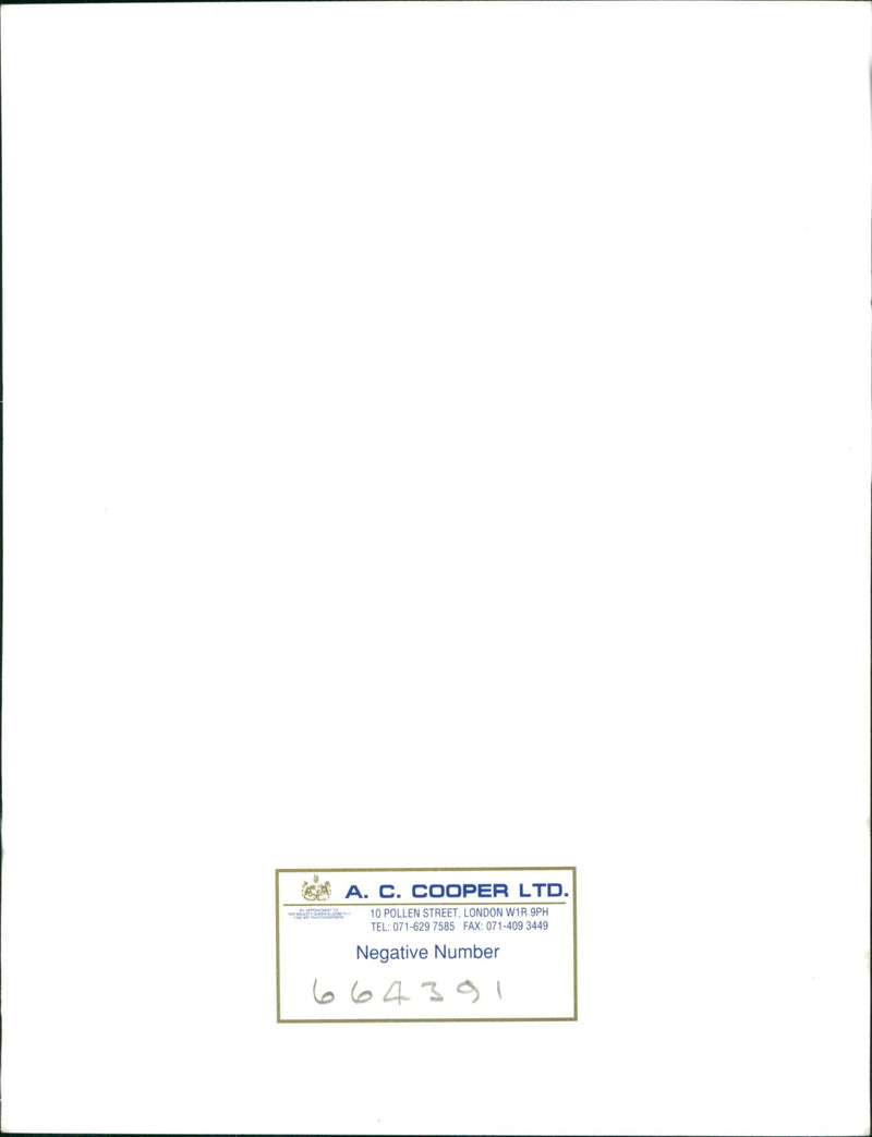 Dog - Vintage Photograph