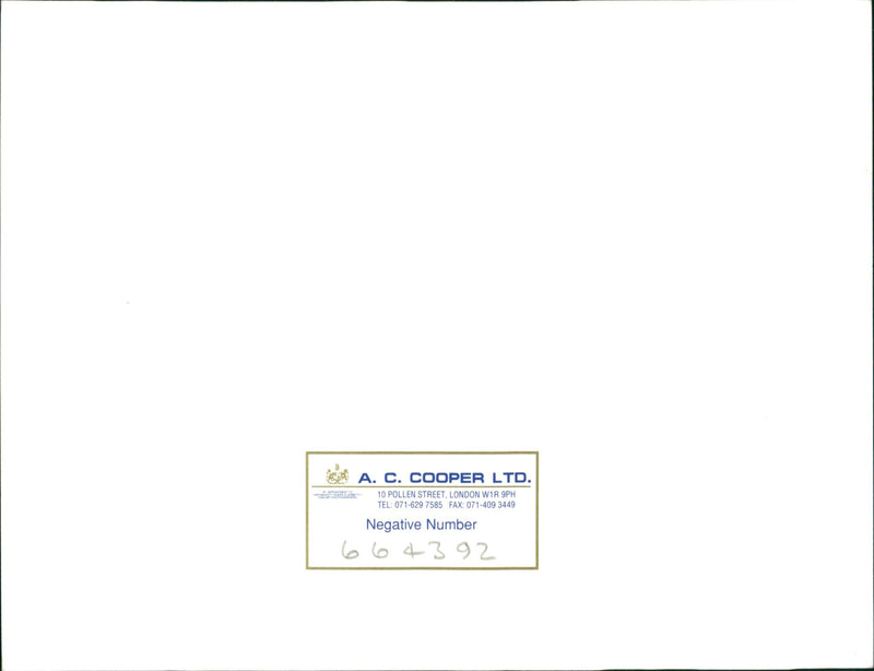 Dog - Vintage Photograph