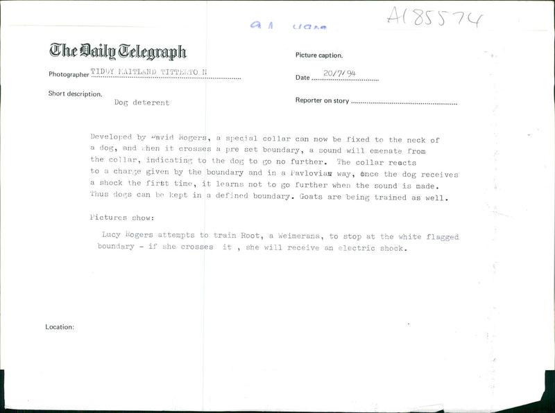 general dog and lucy rogers - Vintage Photograph