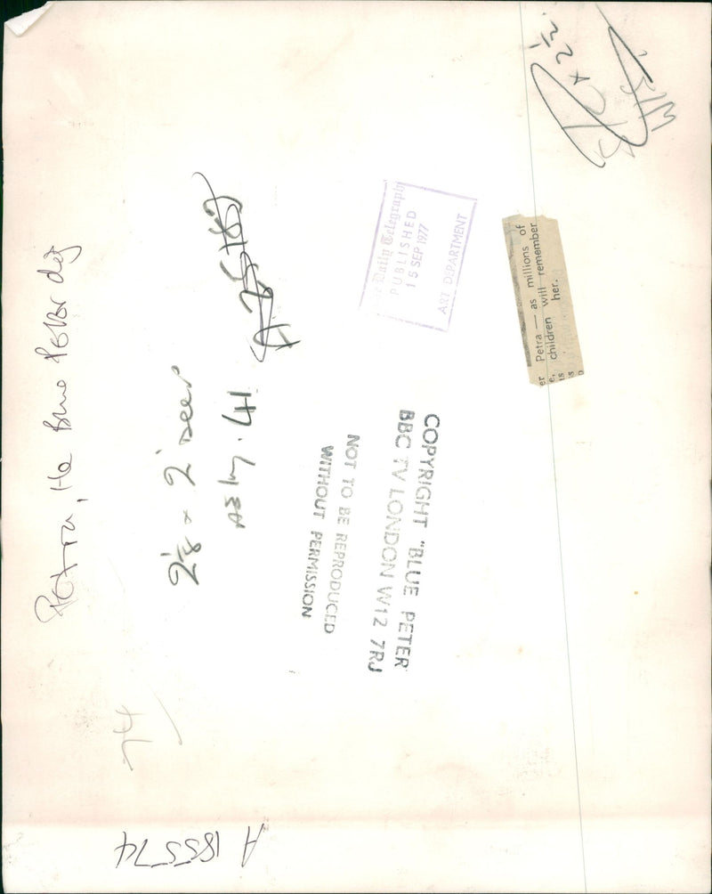 petra dog - Vintage Photograph