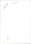 general dog - Vintage Photograph