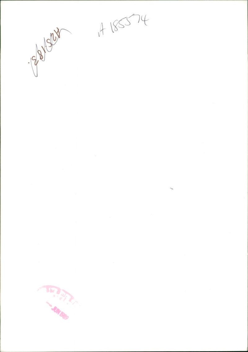 general dog - Vintage Photograph