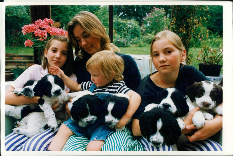 pedigree gun dogs with their master - Vintage Photograph