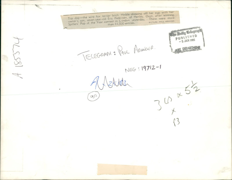 wire fox dog and eric pedersen - Vintage Photograph