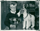 wire fox dog and eric pedersen - Vintage Photograph