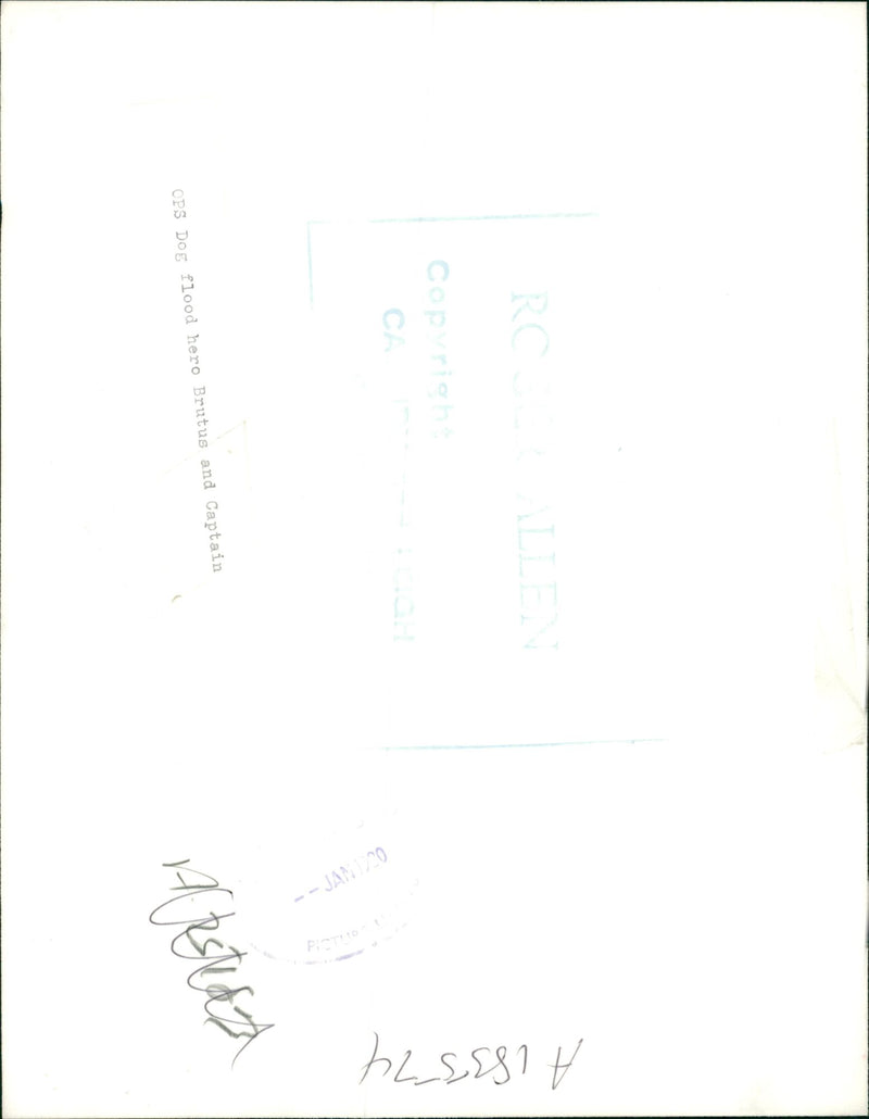 dog flood hero brutus with the captain - Vintage Photograph