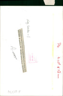 general dog strolling with stephanie hike - Vintage Photograph