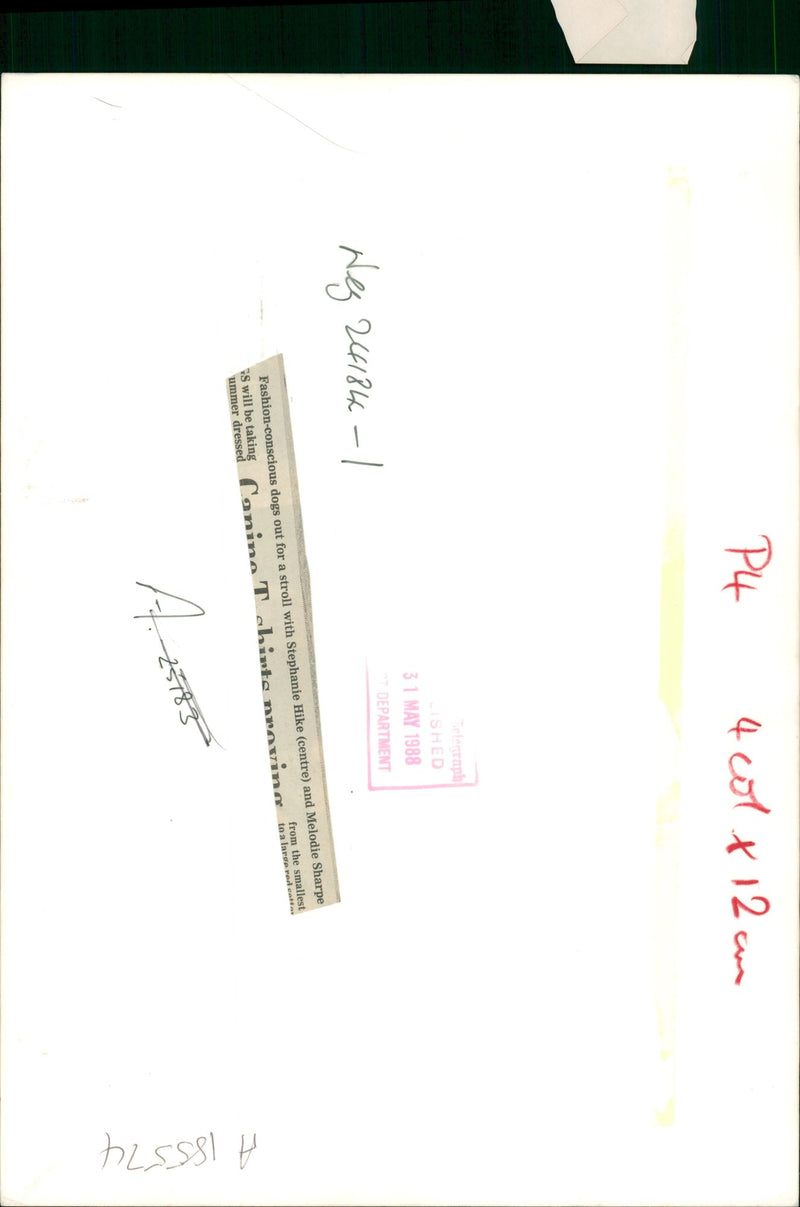 general dog strolling with stephanie hike - Vintage Photograph