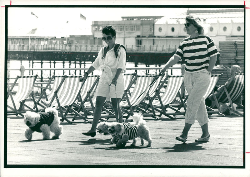 general dog strolling with stephanie hike - Vintage Photograph