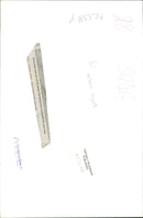 general dog tree treat - Vintage Photograph