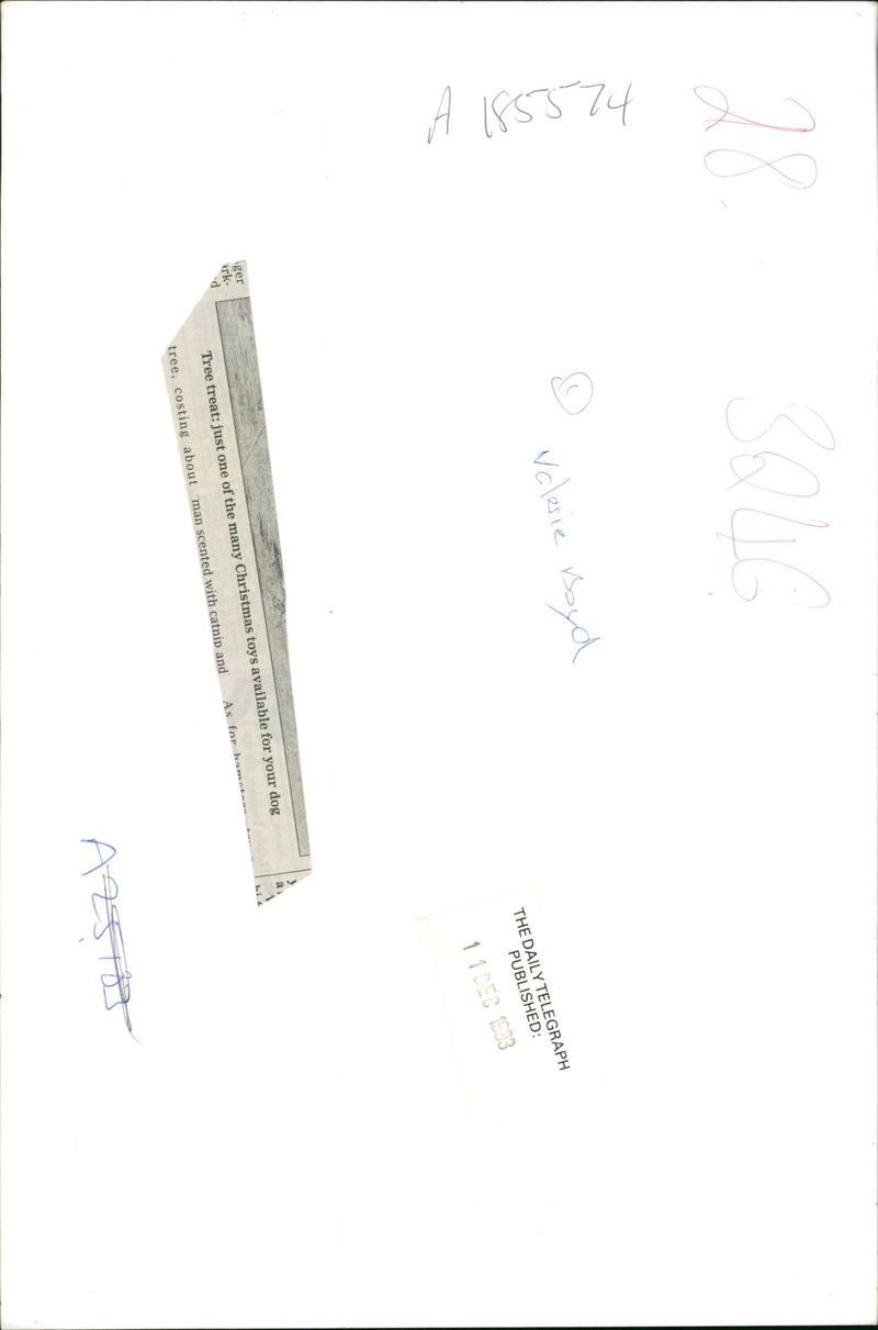 general dog tree treat - Vintage Photograph