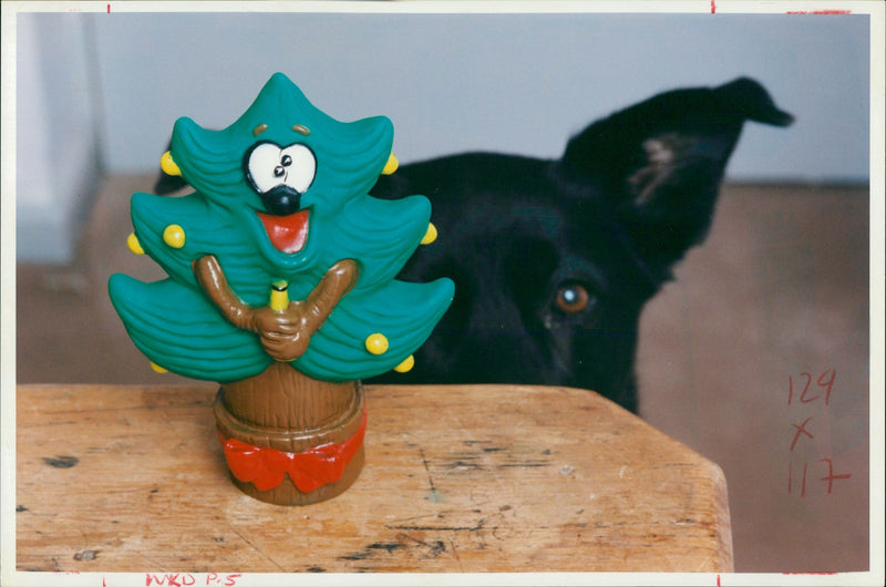 general dog tree treat - Vintage Photograph