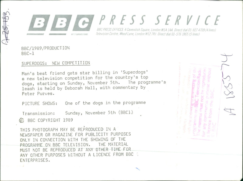 general dog super dog - Vintage Photograph