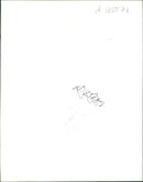 general dog - Vintage Photograph