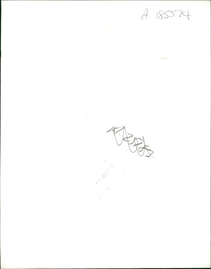 general dog - Vintage Photograph