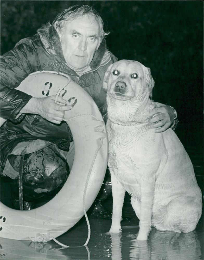 general dog - Vintage Photograph