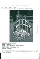 steven steinheimer - Vintage Photograph