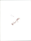 Bmw Car. - Vintage Photograph