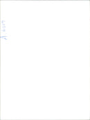 Bmw Car. - Vintage Photograph