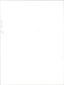 Bmw Car. - Vintage Photograph