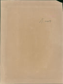 Bmw Car. - Vintage Photograph