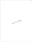 Bmw Car. - Vintage Photograph