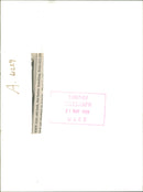 Bmw Car 316i. - Vintage Photograph