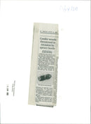 Spruce Beetle - Vintage Photograph