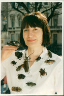 Beetle - Vintage Photograph