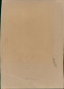 Ronald Reagan 1988. - Vintage Photograph