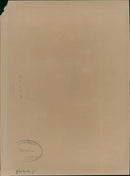 Ronald Reagan 1988. - Vintage Photograph