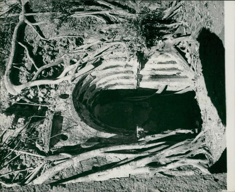 Kenya: Gedi - Vintage Photograph