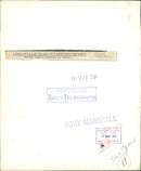 A plaster model of a 20 ft London's largest animal sculpture by Mr. Bainbridge Copnall - Vintage Photograph