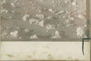 martian landscape - Vintage Photograph