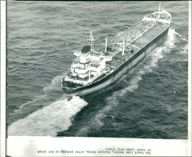 The Court Line tanker, Halcyon Skies . - Vintage Photograph