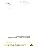 Aircraft: A 300 Airbus - Vintage Photograph