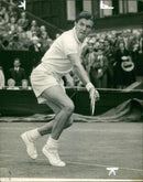 Roger Becker British tennis player. - Vintage Photograph