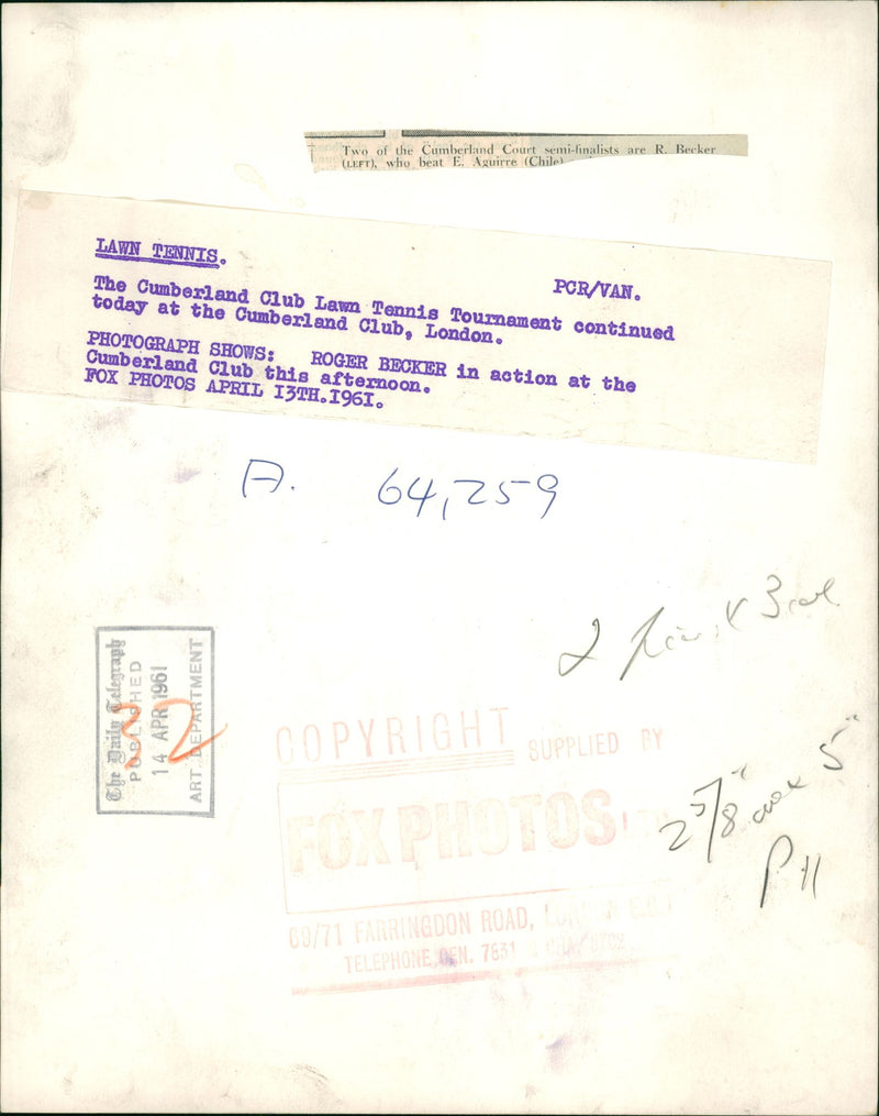 Roger Becker British tennis player. - Vintage Photograph