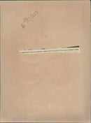 South America: Peru Archaeology Expedition - Vintage Photograph