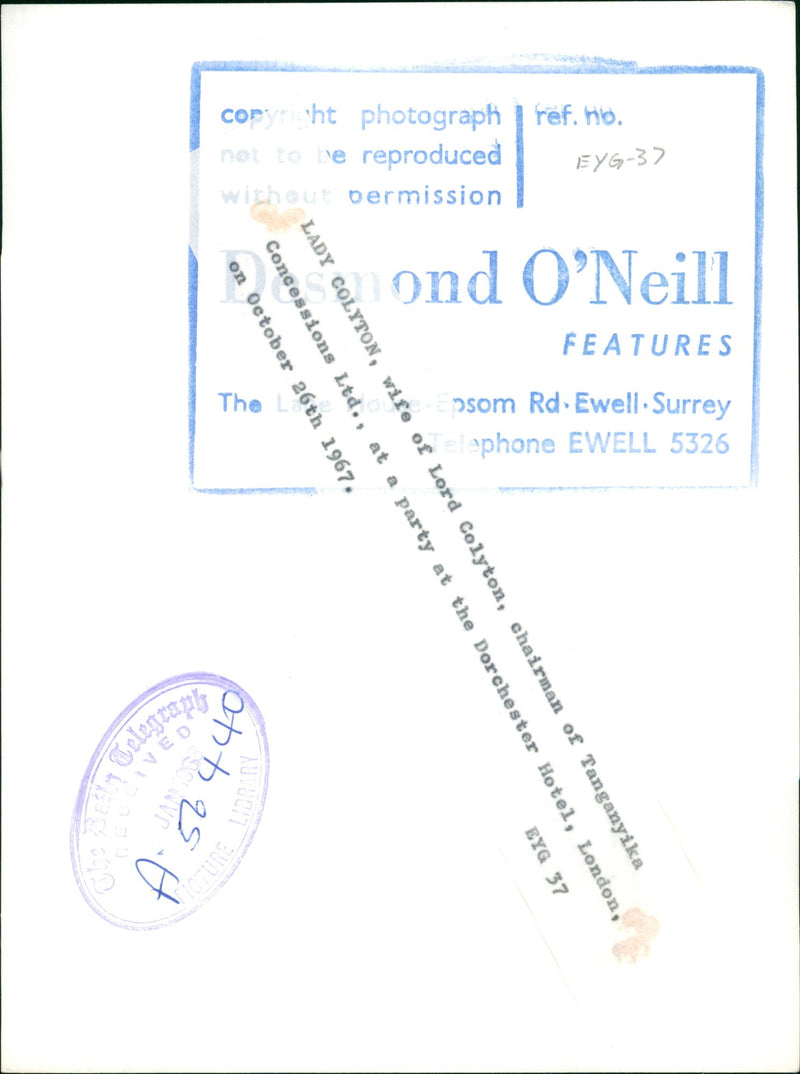 Lady Colyton - Vintage Photograph