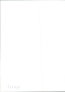 sussian and american. - Vintage Photograph