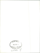 Emanuele Pirro Race car driver. - Vintage Photograph