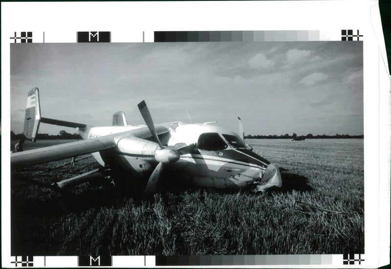 Parachutists - Vintage Photograph