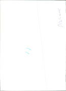 Parachutists - Vintage Photograph