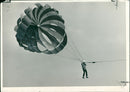 Parachutists - Vintage Photograph