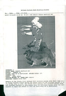 soldier with train dogs - Vintage Photograph