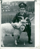 Animal Goat - Vintage Photograph
