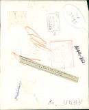 Animal Goat - Vintage Photograph