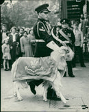 Animal Goat - Vintage Photograph